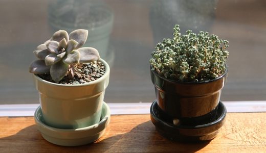 【不動産売却】売買仲介と買取どっちがおすすめ？｜メリット・デメリットを一挙解説