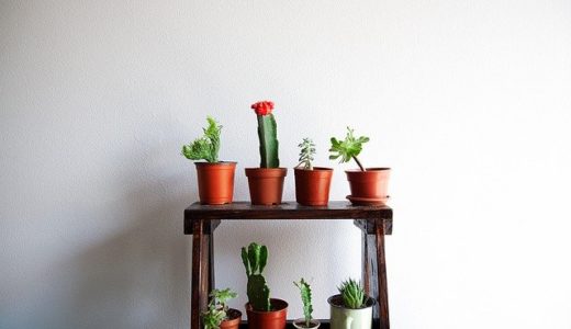 建売住宅購入費用の内訳知ってますか？登記や住宅診断、購入後の費用（カーテン等）まで教えます