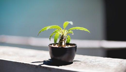 不動産売却に必要な譲渡所得税とは？知らなきゃ損する簡単3ステップの計算方法や申告方法まで徹底解説！