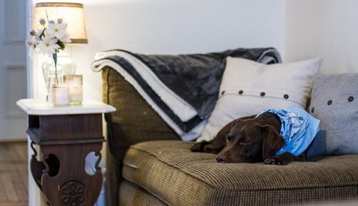 住みやすさなら一番？第一種低層住居専用地域を選ぶべき理由４選