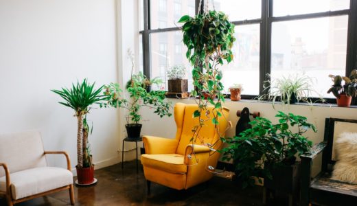 ケンコーホームの評判・口コミは良い？悪い？坪単価や平屋の特徴、耐震性・耐火性まで完全網羅！