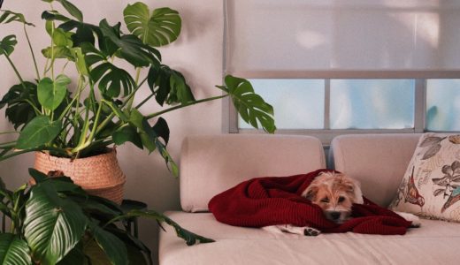 年収600万円で組める住宅ローンの限度額はいくら？適正な返済の割合もシミュレーション！