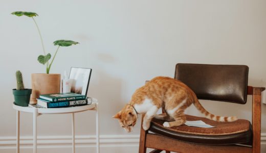 年収520万円で組める住宅ローンの限度額はいくら？適正な返済の割合もシミュレーション！