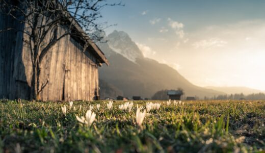 三井のリハウスの評判は悪い？実際の口コミからのマンション・戸建売買の有無まで徹底解説！