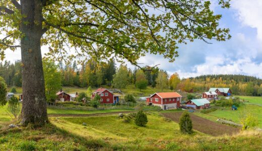 長期譲渡所得とは？特別控除や短期譲渡所得との違いまで不動産の専門家が教えます