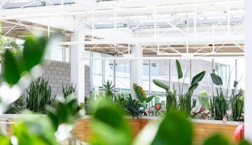 東宝ハウスはやばい？囲い込みがある？きつい？良い評判や悪い口コミと建売住宅の評価